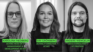 Karolina Hedberg, Siri Grönberg, and Anders Wengelin