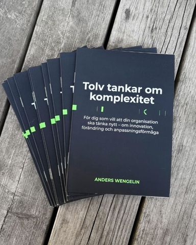 Boken “Tolv tankar om komplexitet” av Anders Wengelin.